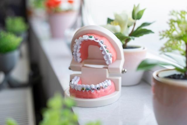 Dentist is Important!